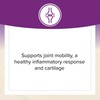 Natural Factors Natural Factors, OsteoMove Joint Care, Extra Strength Support