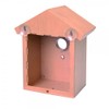 Home and Co Observoiseaux Bird House for Windows, Clear Tinted