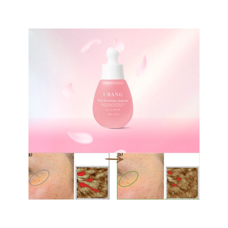 URANG Pink Everlasting Ampoule 35ml