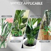 Miocololy 16PC Plant Stem Support, Leaf Buddy Plant Support for