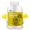 SORIA NATURAL - 100PERLAS ONAGRA Pearls SO