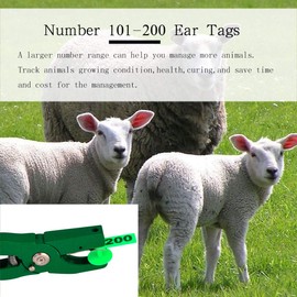 101-200 Number Plastic Tags Livestock Animal Ear Tag for Marking Pigs Cattle Sheep(Green)