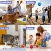 Tendry Moon Ball, Extreme High Bouncing Ball, Improve Hand-Eye Coordination,