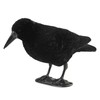 Volein Crow Decoy for Attracting Crows, 2-Pack Plastic Fake Crows