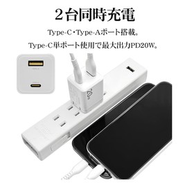 Rasta Banana RACCA20W02CGRY AC Charger, USB Type-A Type-C PD Compatible, Fast Charger, 20W GaN, Gallium Nitride, Charcoal Gray