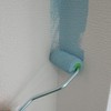 Handy Crown Rain Stick Mini Roller for Indoor Walls Spare
