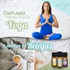 MEVA kit de 10 aceites aromaterapia difusor de aromas humificador