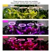 LED Plant Grow Lights Full Spectrum USB Growing Light Timing