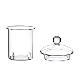 CNGLASS Glass Infuser with Lid for 20.3oz Teapot