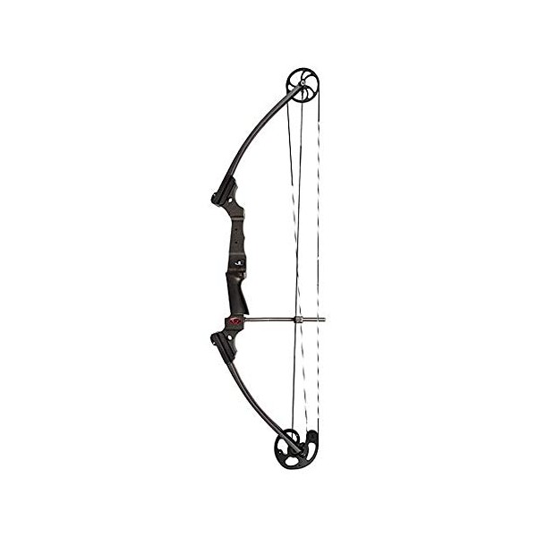 Brennan Industries Genesis Archery Bow, 15-30-Inch/10-20-Pound