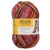 Regia 6-ply Design Line by Arne & Carlos sock yarn