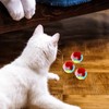 Ipetboom Cat Plush Ball Toys, 15Pcs Yarn Puff Cat Toy