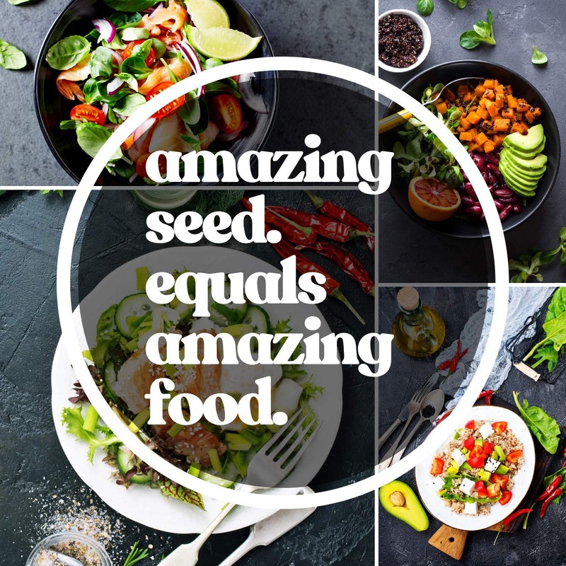 Adzuki Bean Sprouting Seeds - 15 g Packet ~125 Seeds