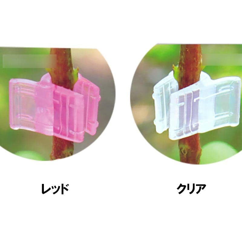 500 Pcs Gibberellin Red Gibberellin Marks Seams Made in Japan
