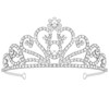 Ondder Shiny Silver Crown and Tiara for Women