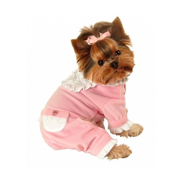 Sweety Dog Jumper in Pink