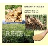 九州産 まるごと しょうがパウダー 粉末 生姜 生姜粉 乾燥 ショウガ ジンジャー 60g