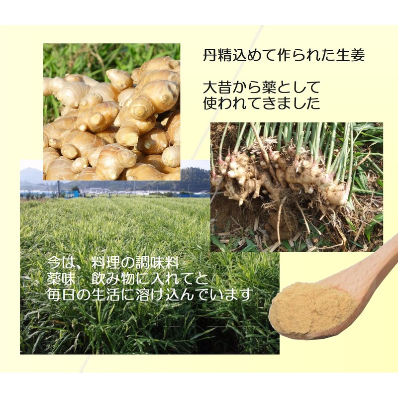 九州産 まるごと しょうがパウダー 粉末 生姜 生姜粉 乾燥 ショウガ ジンジャー 60g