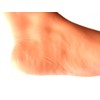 Foot Model Female Left Foot 8.3 inches (21 cm) Life