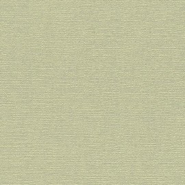 CONCORD WALLCOVERINGS ™ Sample for Display Purpose Only Textured Wallpaper Plain Featuring Scrubbable Painted Wall, Green, 7 in x 10 in, 2950_57
