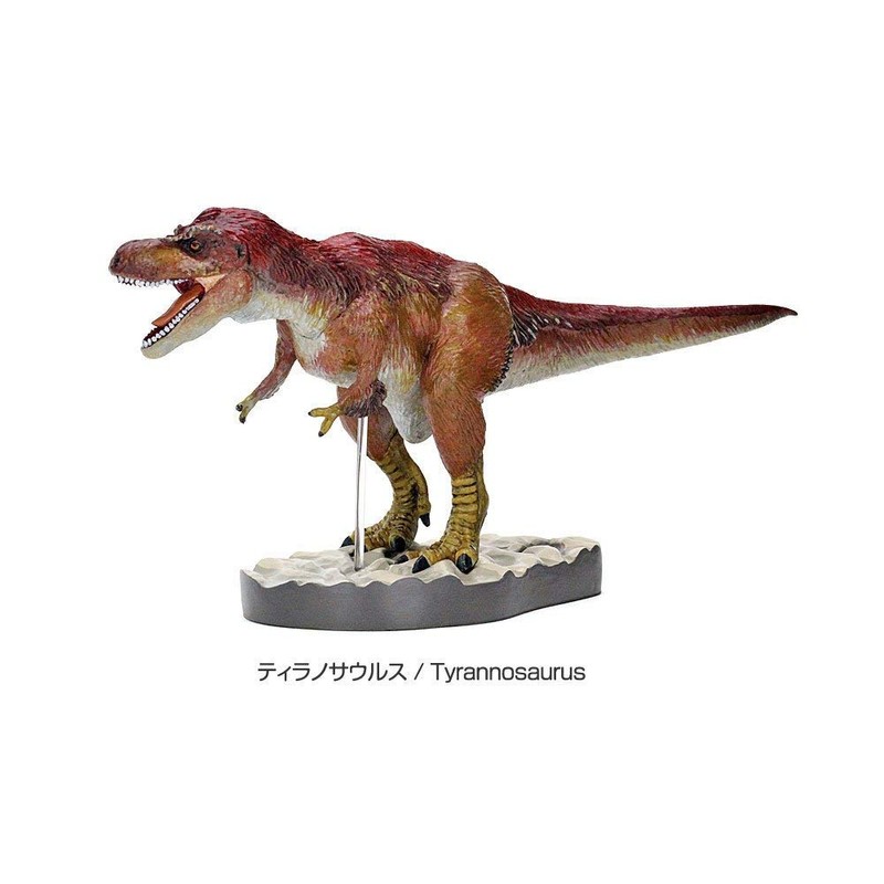 Carolata Feather Dinosaur Figure, 3D Picture Book (Dinosaurs, 7 Types,