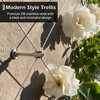 Wire Trellis for Climbing Plants Outdoor, 20-Set Wall Wire Trellis