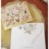 Carol Wilson Classic Butterfly NCP2363 Message Card Set, 10 Each
