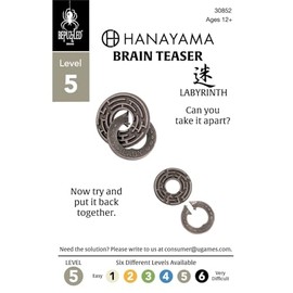 BePuzzled | Labyrinth Hanayama Metal Brainteaser Puzzle Mensa Rated Level 5, for Ages 12 and Up
