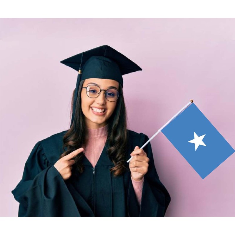 25 PCS Somalia Handheld Small Flag, Somali Hand held Mini