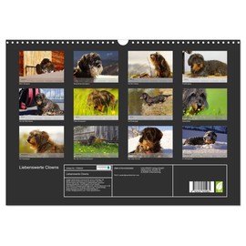 Liebenswerte Clowns (Wandkalender 2025 DIN A3 quer), CALVENDO Monatskalender [Calendar] Piet G.