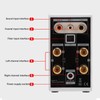 200W Bluetooth 5.0 Amplifier HIFI Stereo Sound Digital Amp Wireless