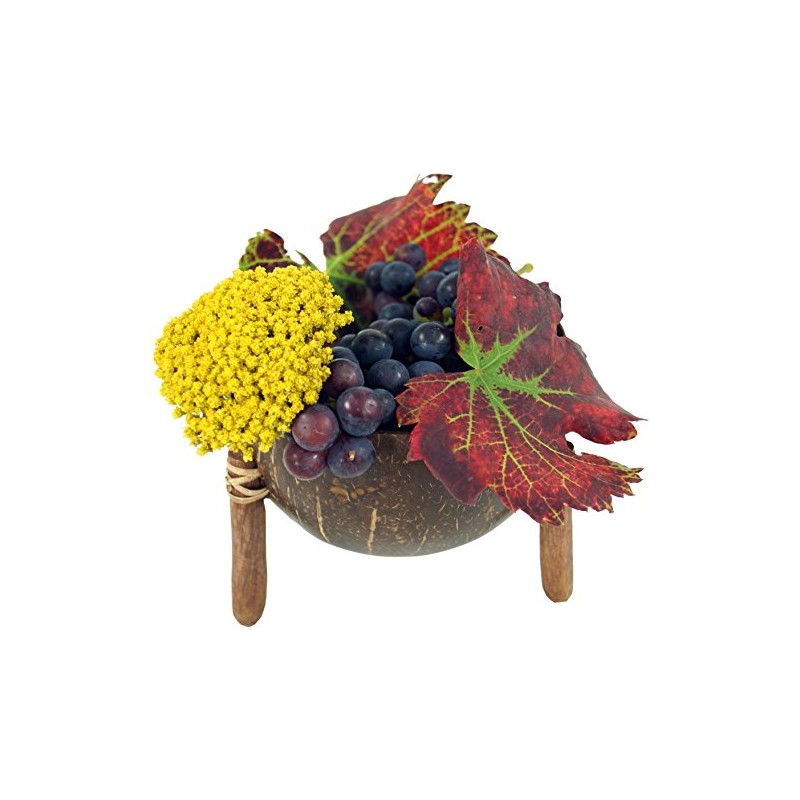 GURU SHOP Exotic Coconut Bowl Design 7, Brown, 9 x