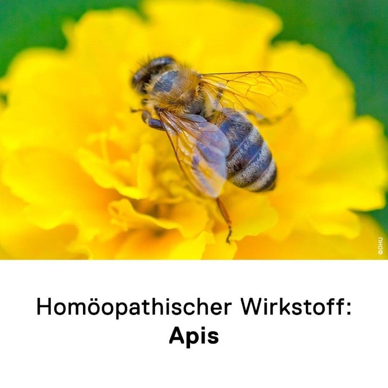 DHU Apis Mellifica C30 10g Globules