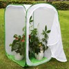 RESTCLOUD 36" Large Monarch Butterfly Habitat, Giant Collapsible Insect Mesh