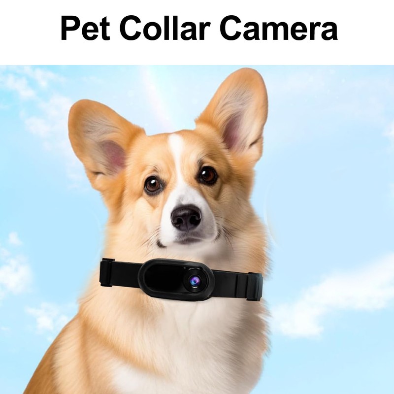 Pet Collar Camera High Definition Portable Dog Tracker Collar Camera
