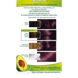 Garnier Nutrisse Cream Coloración Permanent Con Mascarilla Nutritiva De Cuatro Aceites - Violín 4.26