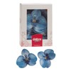 dekora – Fiori commestibili per torte – 10 orchidee in