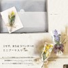 Imabari Towel Certified Original Gift Set, Pre-wrapped, Bath Towel, Made