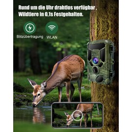 HAZA 4K WLAN Wildlife Camera with App 64MP HD Wildlife Camera with 940nm Night Vision Motion Sensor WiFi Hunting Camera with SIM Card, 120° Wide Angle, 0.1s Trigger, IP66 for Wildlife Surveillance