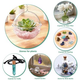 Rockcloud 0.5 lb Small Tumbled Chips Crushed Stone with Chakra Bag Healing Reiki Crystal Home Decoration, Carnelian