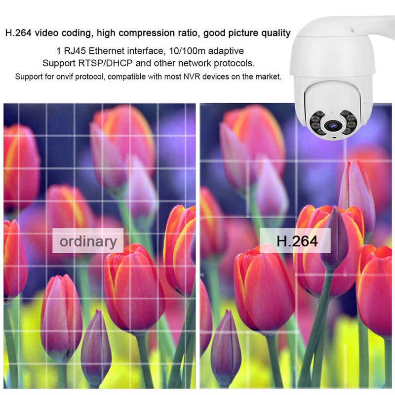 2in Waterproof PTZ Mini Dome Camera 1080P WiFi 8 Lights