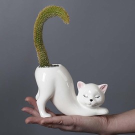 Maceta única sin cola de gato pequeño, linda maceta interior para suculentas con forma de gatito, portamacetas para plantas de animales para decoración del hogar, maceta de bonsái de cerámica novedosa