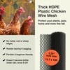 MaPorch Plastic Chicken Wire Mesh Fence - Black Mesh, 15.7