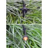 UCLEVER Irrigation Drip Support Stakes for Flower Beds, Vegetable Gardens,