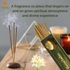 Naisha Incense Sticks Set of 4 (50 Gm Each) Calming