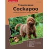 Traumrasse Cockapoo: Das Beste aus Cocker Spaniel und Pudel
