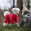 PawPawer Dog Raincoat Jacket with Reflective String and Elastic Cuffs