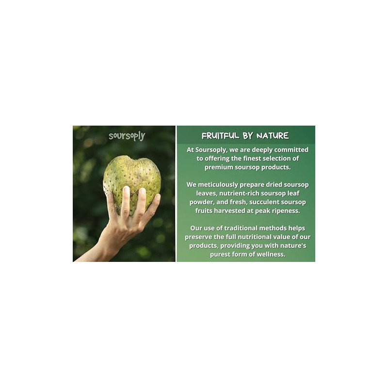 Soursoply – Premium Dried Soursop Leaves (100g) | Whole Dried