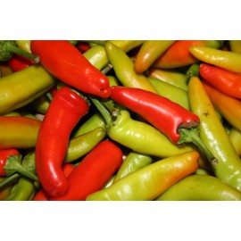 Southeast Seeds Cubanelle Sweet Pepper Seeds, NON-GMO, Variety Sizes, FREE SHIPPING - 1000 Seeds or 1/4 OZ