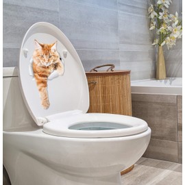 Winston & Bear Climbing Ginger Cat Wall Decals - 2 Pack - Orange Cat Toilet Sticker – 3D Cat Car Window and Bumper Sticker - Retail Packaged Orange Cat Lover Gifts